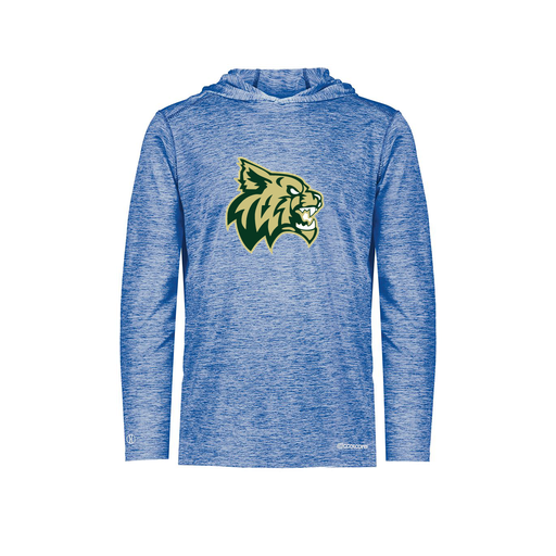 [FOLHCGRY-AS-LOGO1] Decker Men's Charge Hoodie (Adult S, Royal, Logo 1)