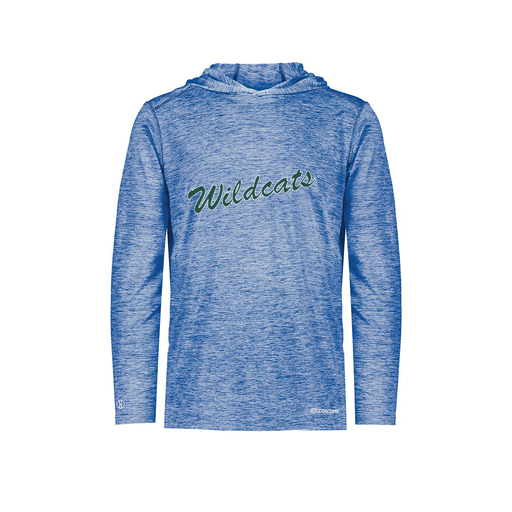 [FOLHCGRY-AS-LOGO2] Decker Men's Charge Hoodie (Adult S, Royal, Logo 2)