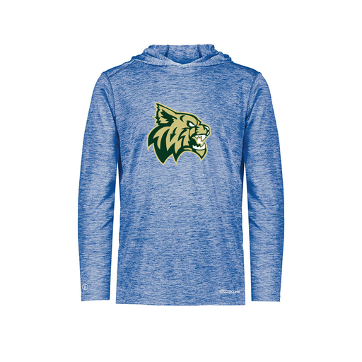 [FOLHCGRY-YS-LOGO1] Decker Youth Charge Hoodie (Youth S, Royal, Logo 1)